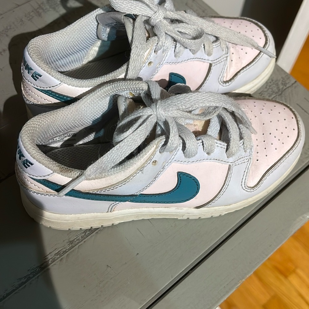 Nike dunks kids size 12